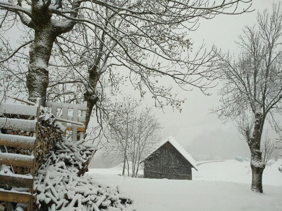 Chalet Lucie Le Cheval Noir Valmorel Eksteriør bilde